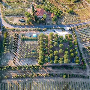 Agricamping Poggio Ai Pini Certaldo